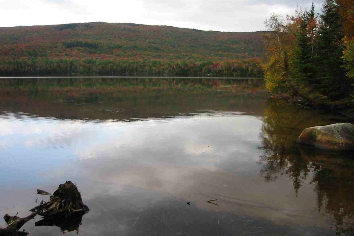 Barnes  Pond,  Johnson  Mt