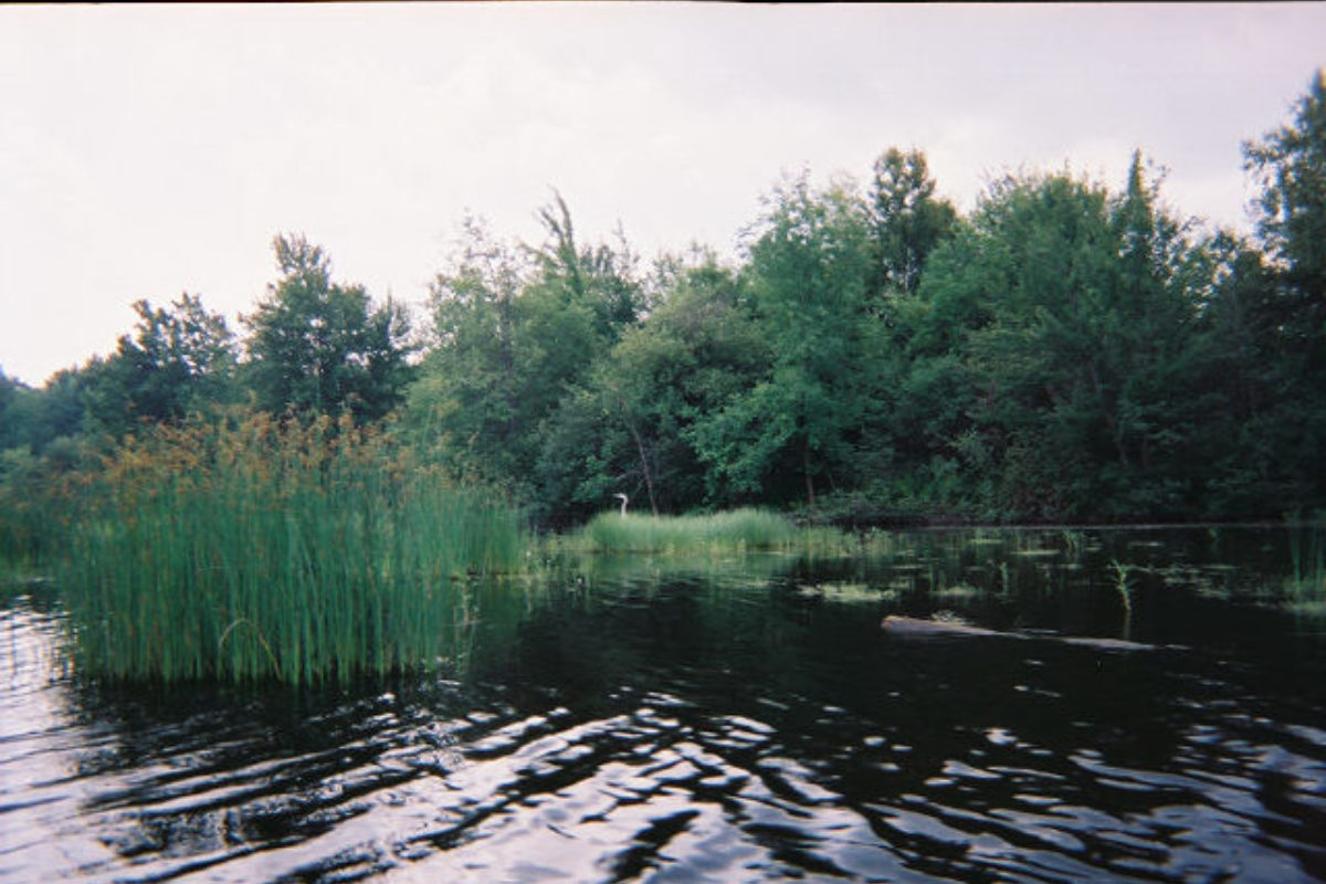 Saranac River