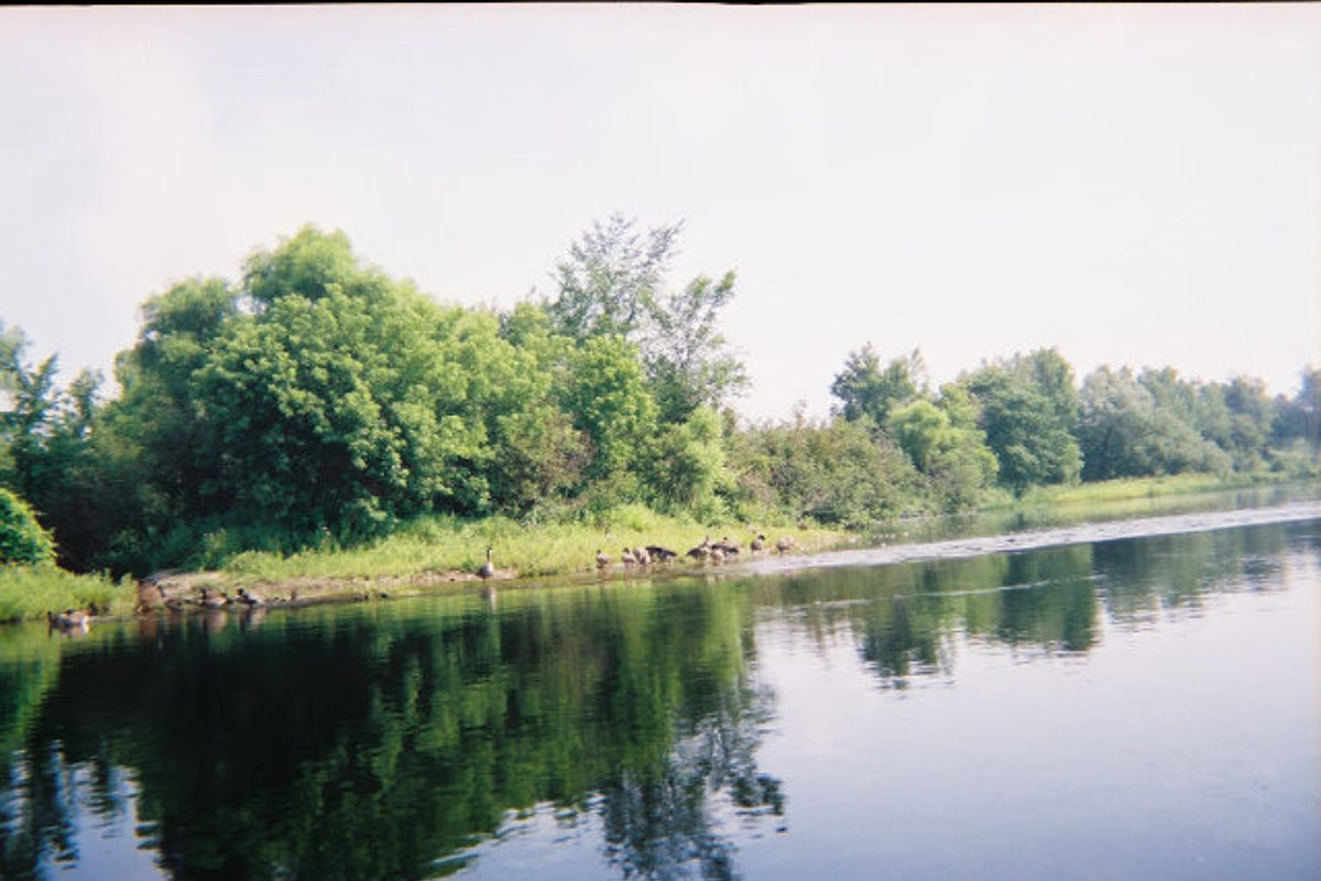 Saranac River 2