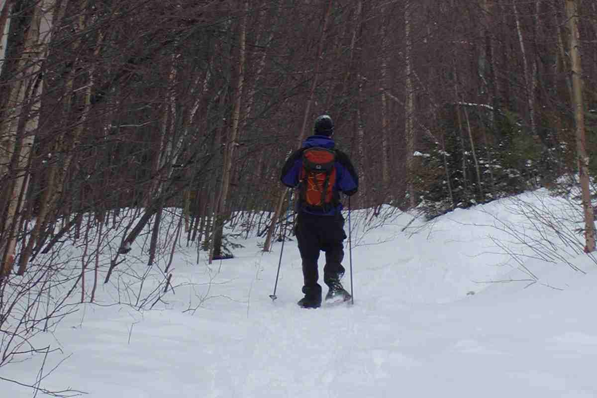 Snowshoeing  Lyon  Mt