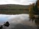 Barnes  Pond,  Johnson  Mt